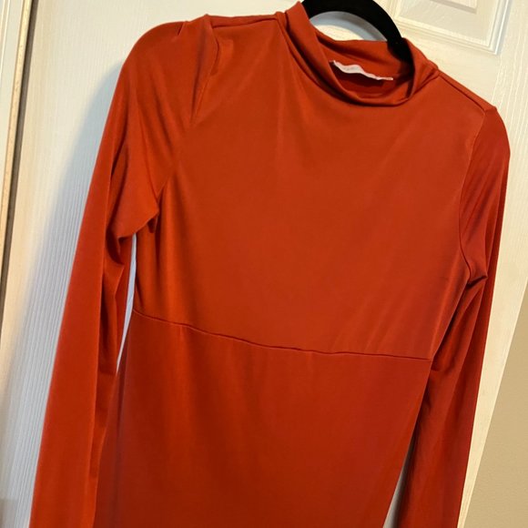 Rust Turtleneck with Slit Maternity Dress by Anyuta Couture - Picture 7 of 9